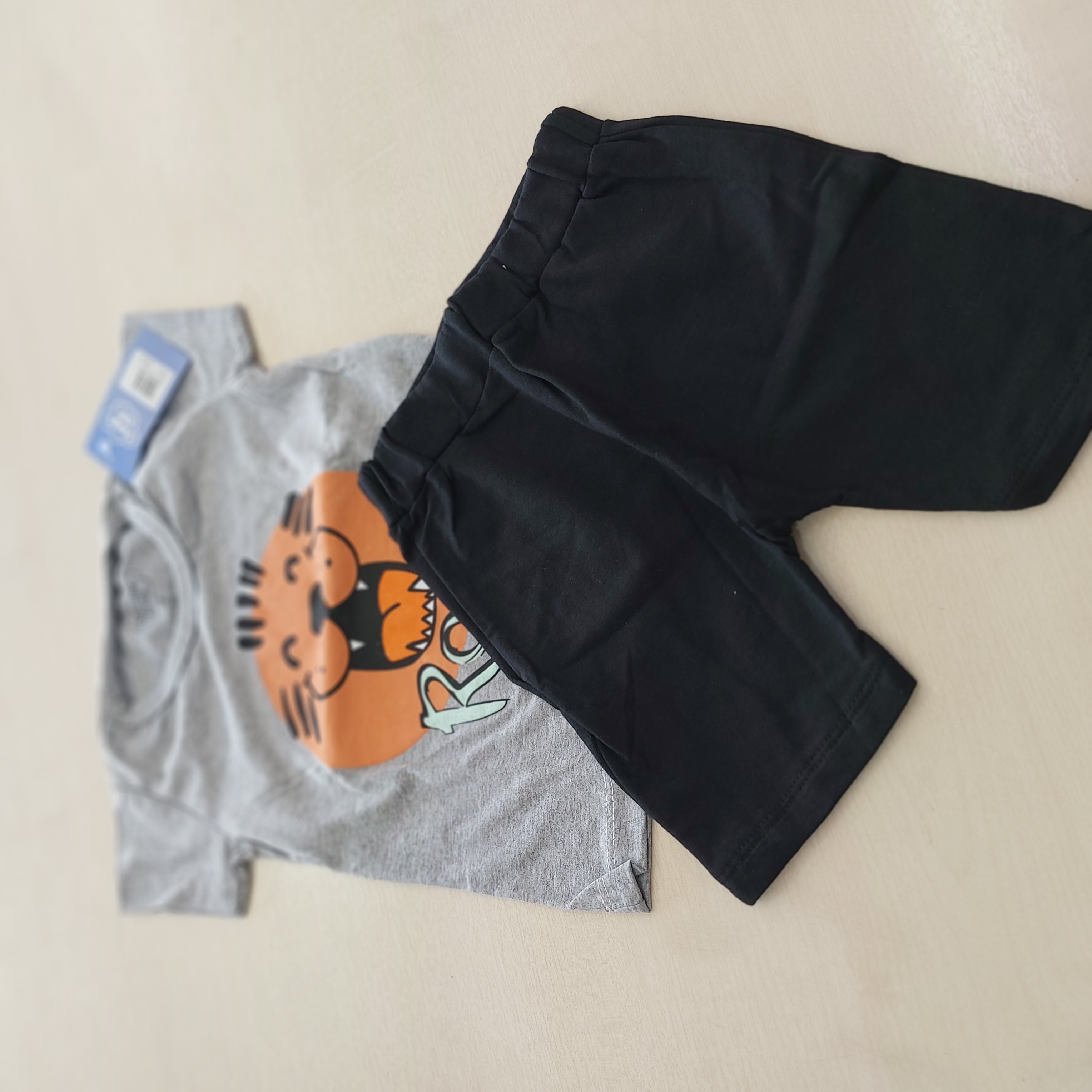 Conj. Camiseta MC e Shorts Masc Tam 02 Orango Kids