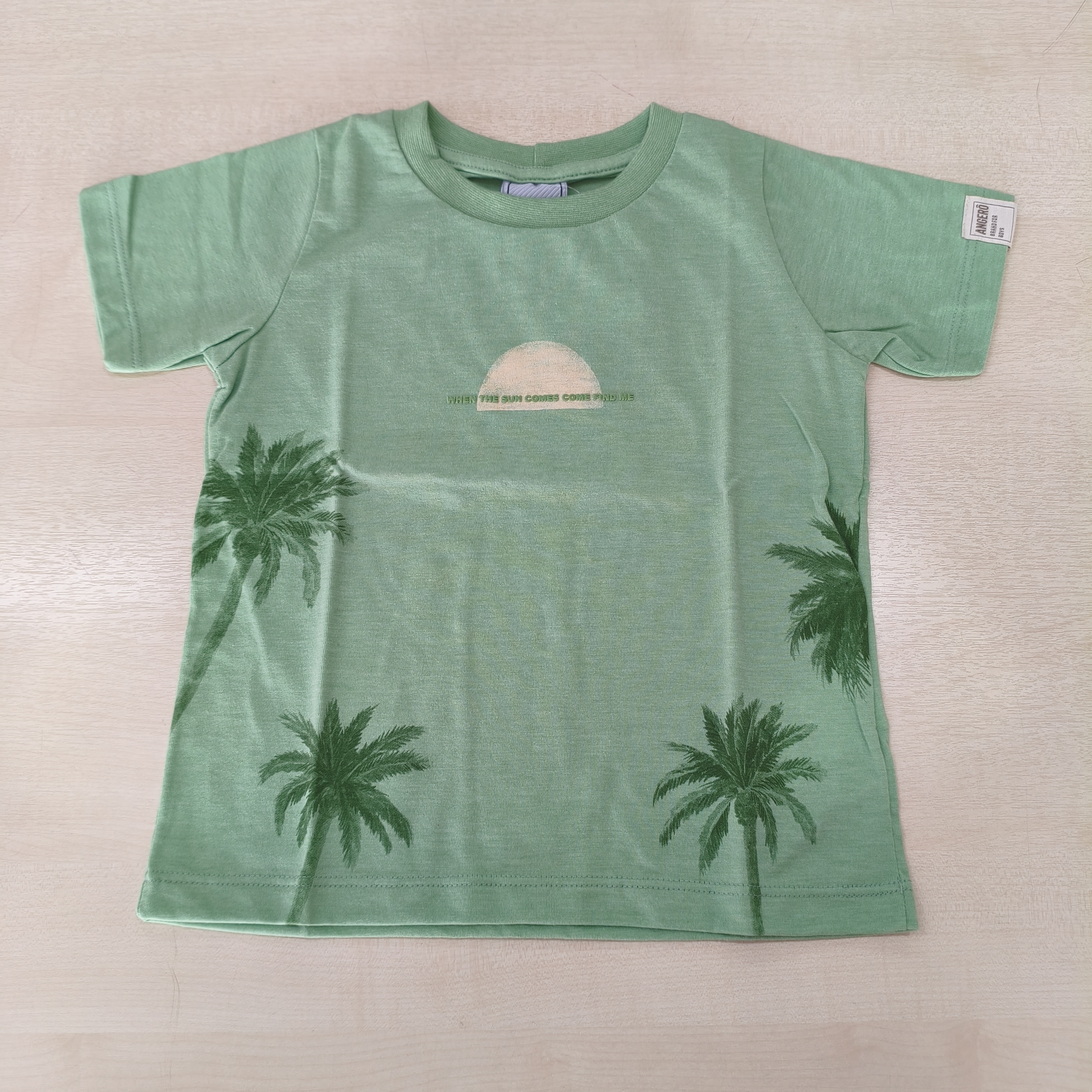 Camiseta MC Tradicional Masc Tam 01 Angerô