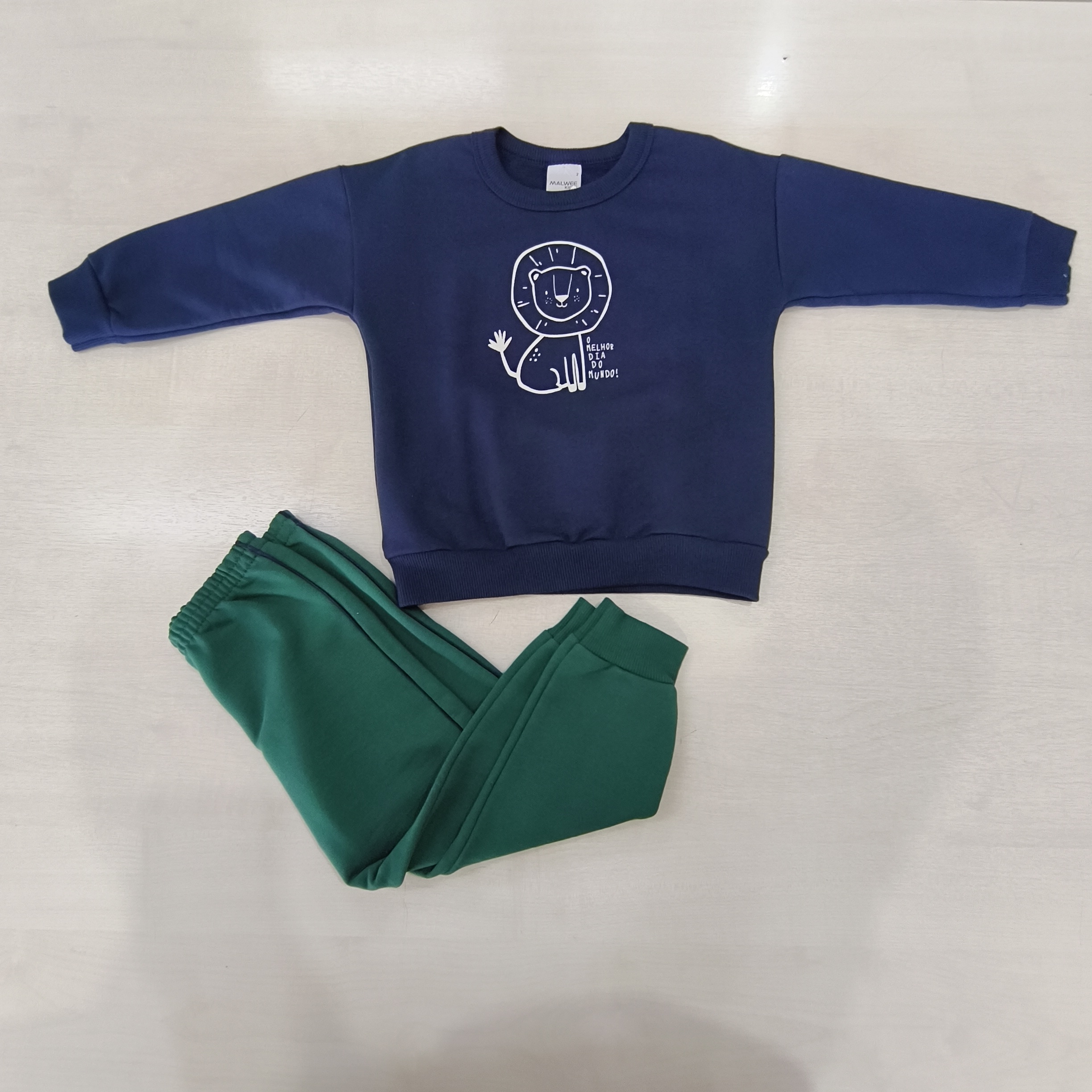 Conj. Moletom Blusão e Calça Masc Tam 02 Malwee