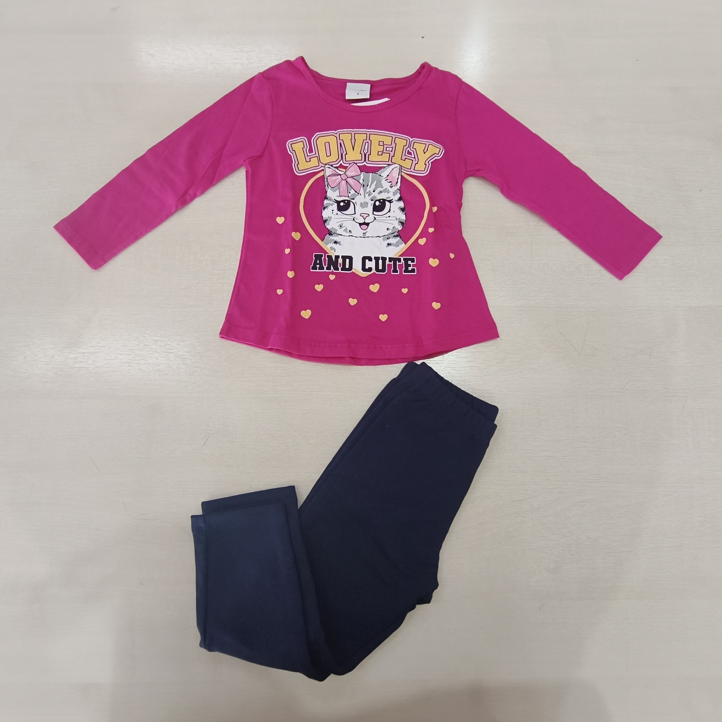 Conj. Blusa ML com Calça legging Fem Tam 02 Rovitex