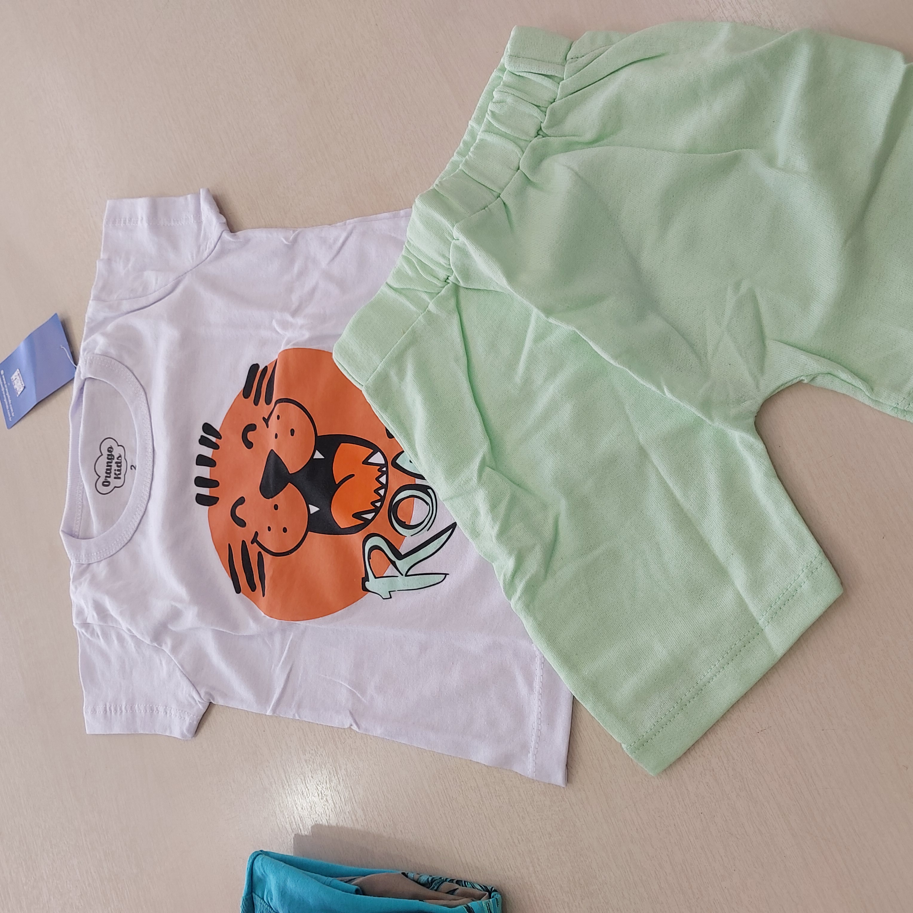 Conj. Camiseta MC e Shorts Masc Tam 02 Orango Kids