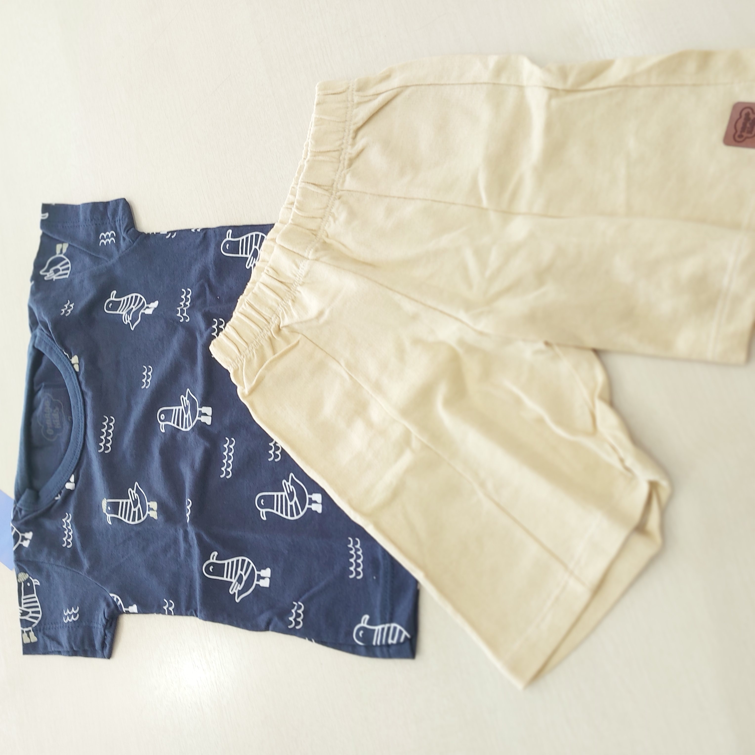 Conj. Camiseta MC e Shorts Masc Tam 02 Orango Kids